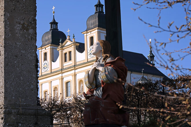 Der Blick nach oben.....