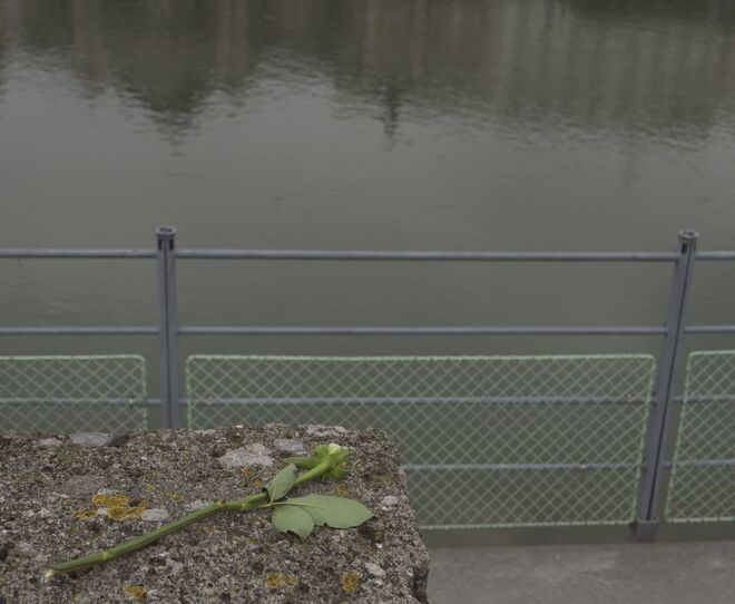 Am linken Salzachufer