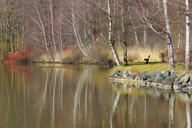 Stimmungsvoll am Zeller See