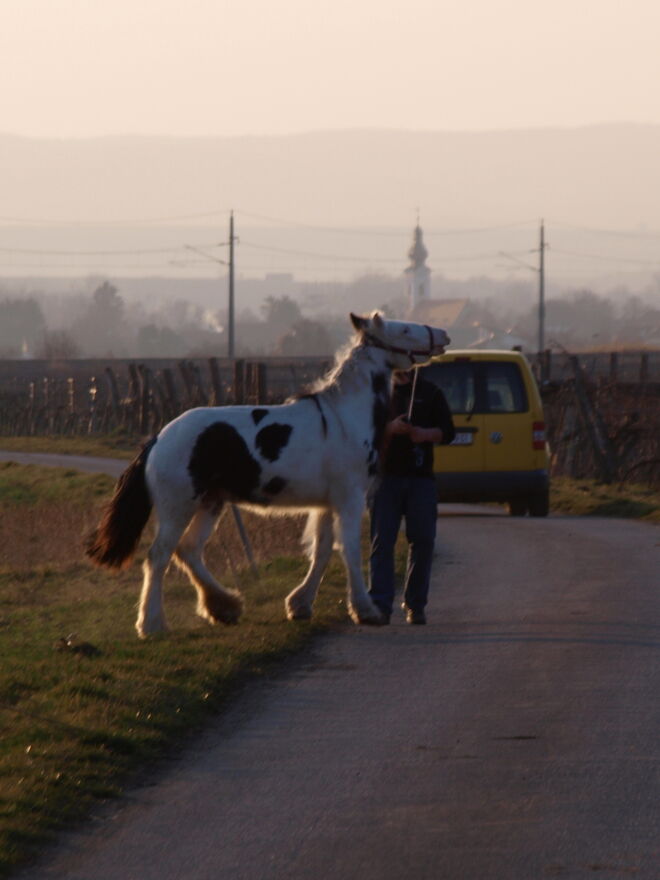 "Verkehrserziehung!"