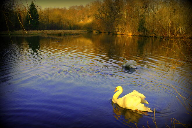 "LICHT UND SCHATTEN"