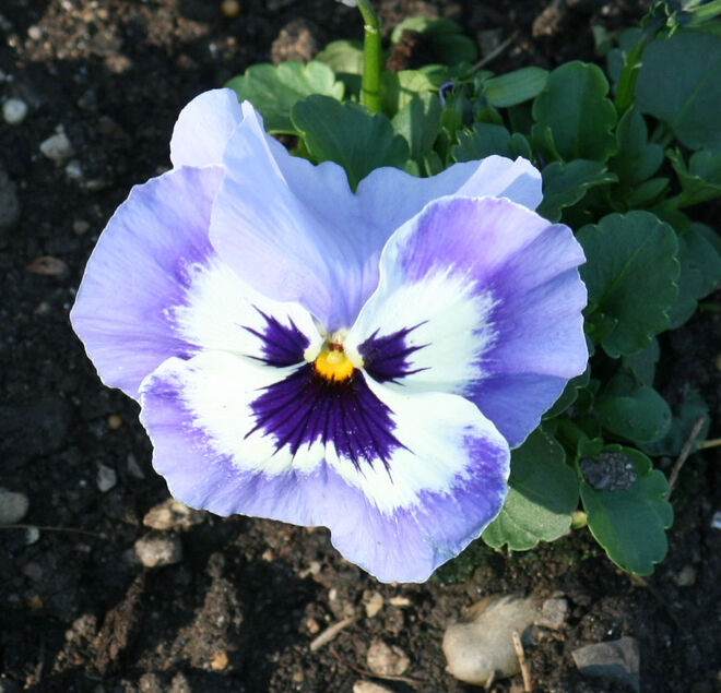 Bei so viel Schönheit dürfte man auch etwas lächeln!