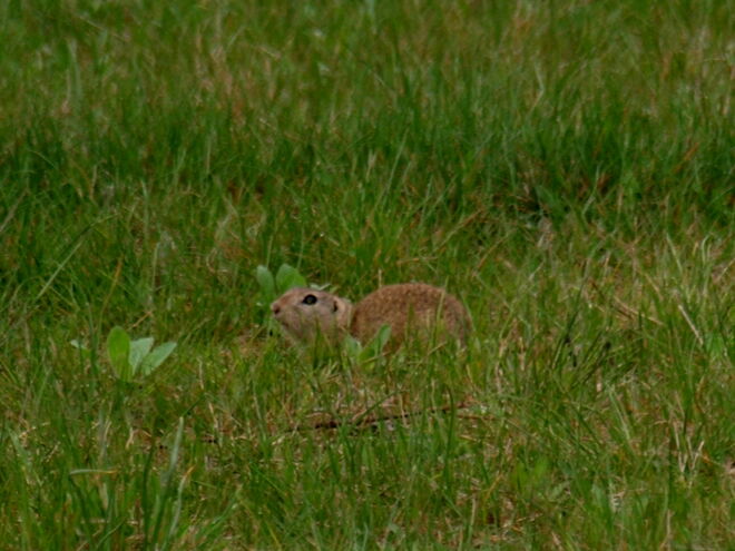 So früh waren sie noch nie unterwegs!