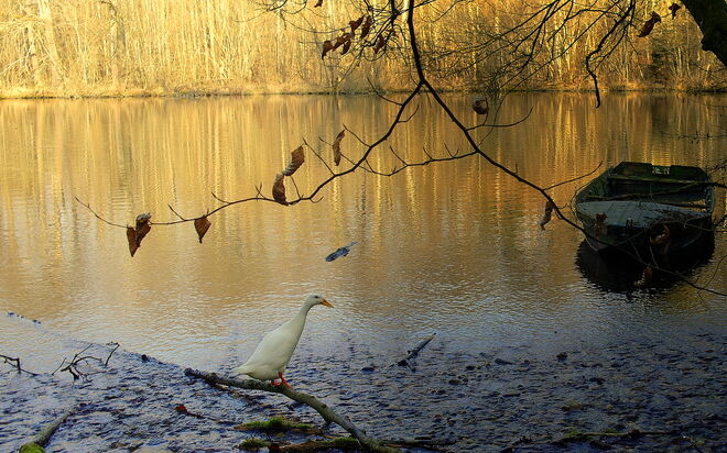 "VON DA OBEN HAB ICH ALLES IM GRIFF "