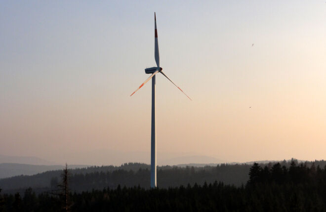 energiereicher Blickfang