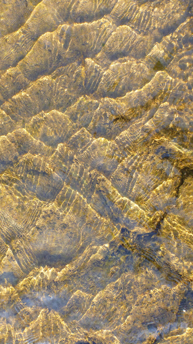 Subaquatische Reflexionen