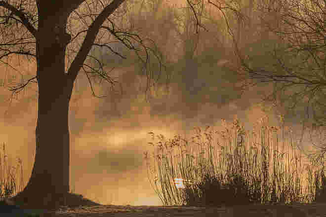 Die Nebel tanzen