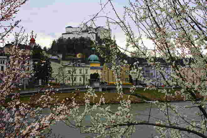 Salzburg hinter Blüten..