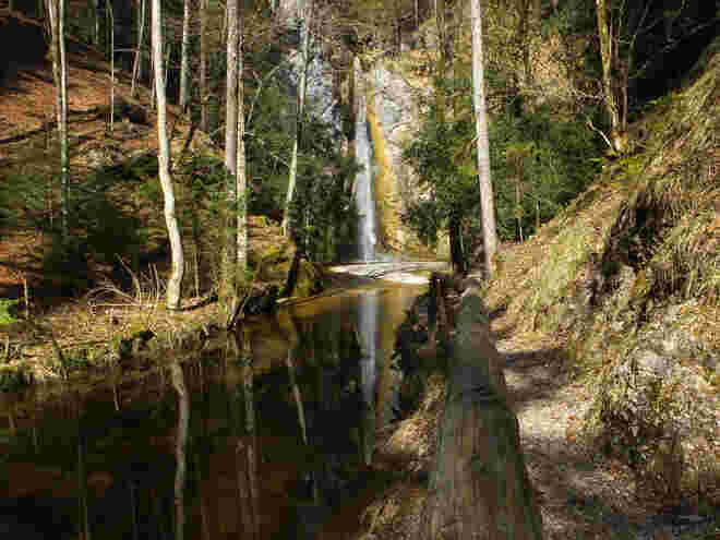 In der Plötz