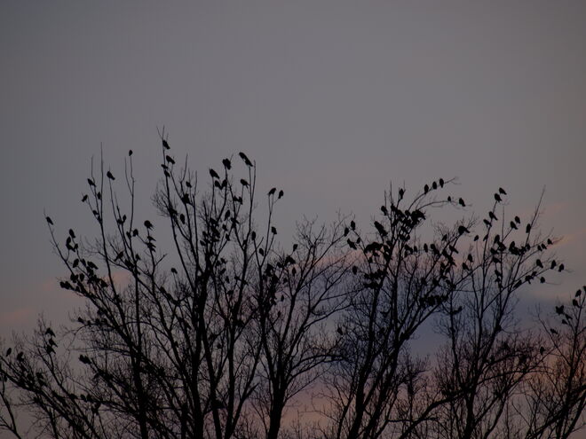 "Hier sind wir sicher!"