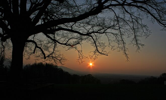 Die letzten Sonnenstrahlen bei der Plainlinde