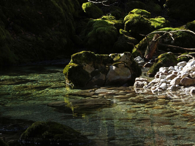Klares Wasser - moosiger Stein