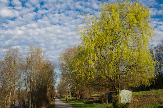 Grün breitet sich aus