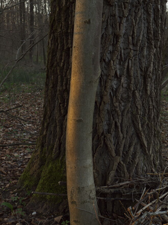 letzter Sonnenstrahl