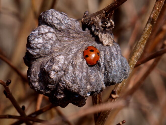 "Ich taue auch schon langsam auf!"