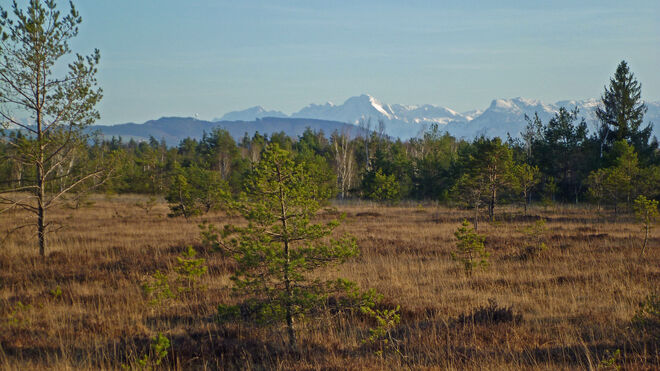 Fast wie nach der Eiszeit