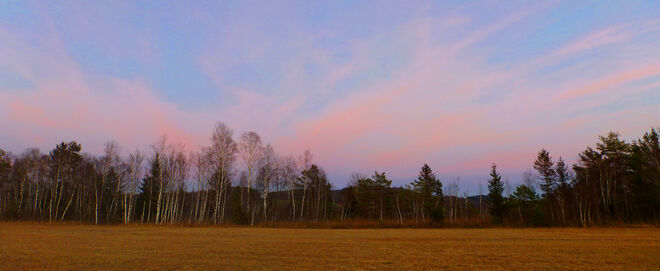 Wenn es Abend wird im Moor