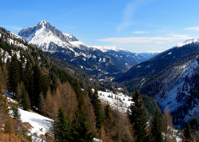 Ein Hauch vom Frühling ...