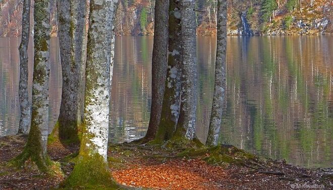Der Toplitzsee im März