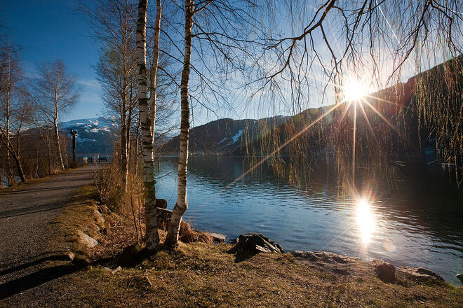 Vorhang auf für den Frühling