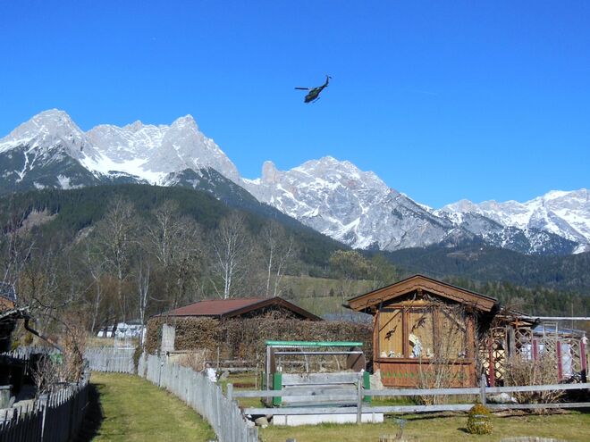 Sicheres Österreich....????