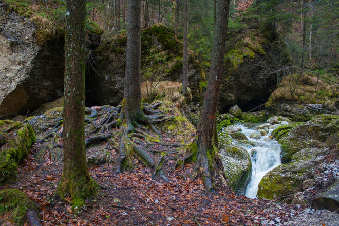In der Glasenbachklamm