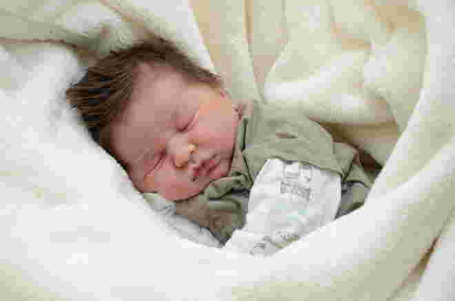Raphael Jud