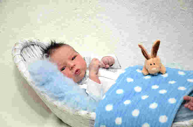 Minel Alic