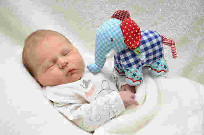 Annika Grace Taferner