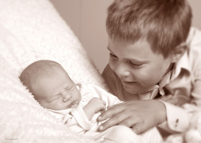 Cornelia Maria Schreder