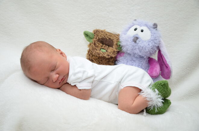 Freyja Filicitas Reinhold