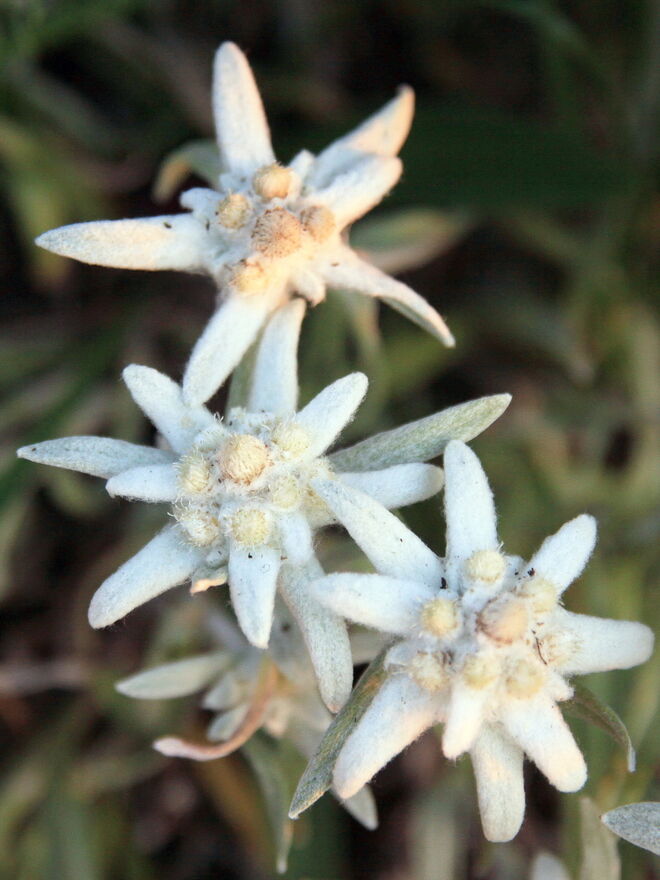 Gegen Hitze und Kälte geschützt