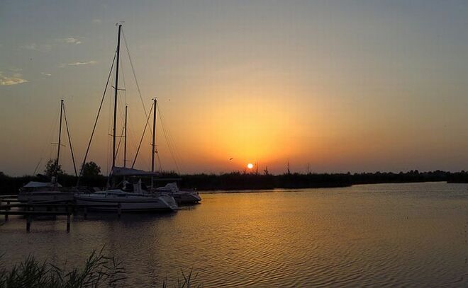 Sonnenaufgang am Neusiedlersee