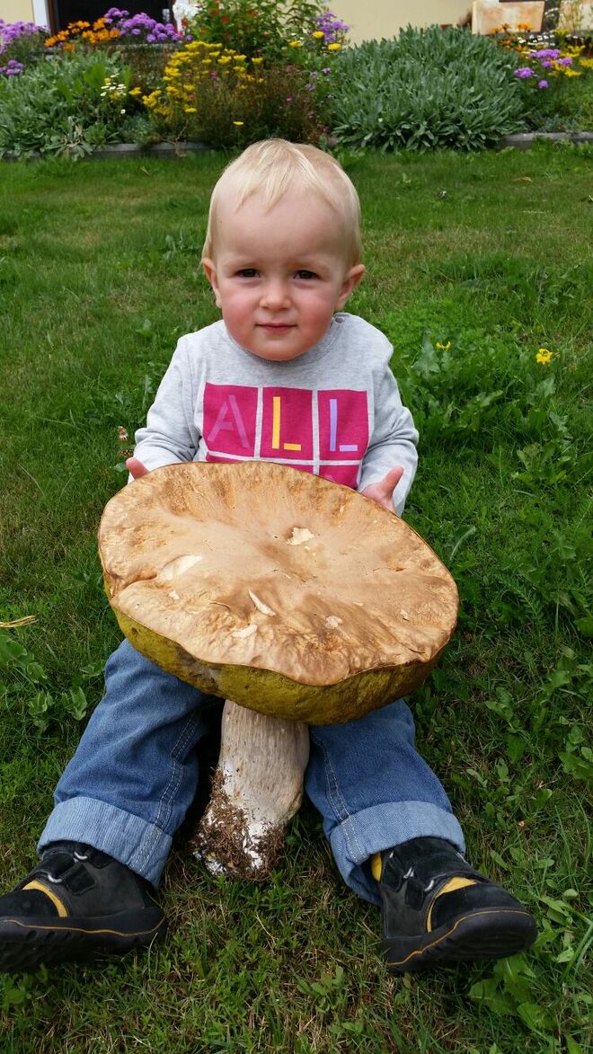 Glückspilz der Woche