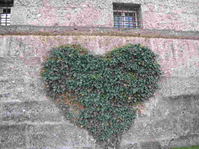 Herzlichst