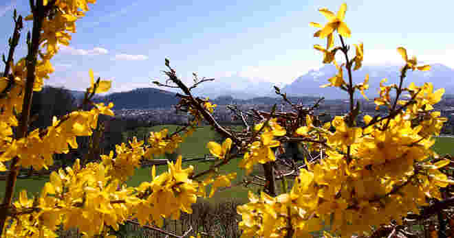 Stadtblick