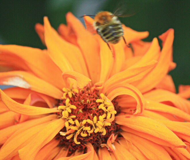 ich bin dann mal weg .....