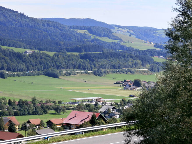 ein neues Sägewerk ensteht