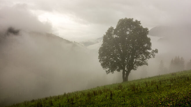 Nebel zwischen dem Regen