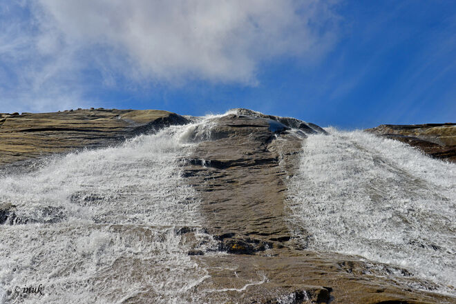 Ohne Wasser kein Leben