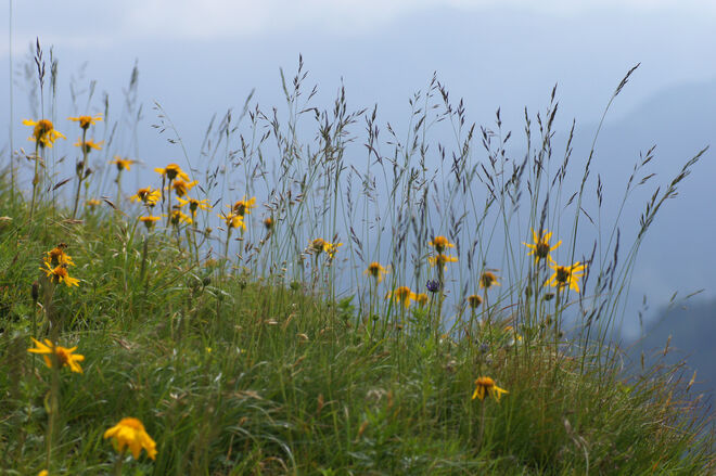 Lichtblicke im Trüben