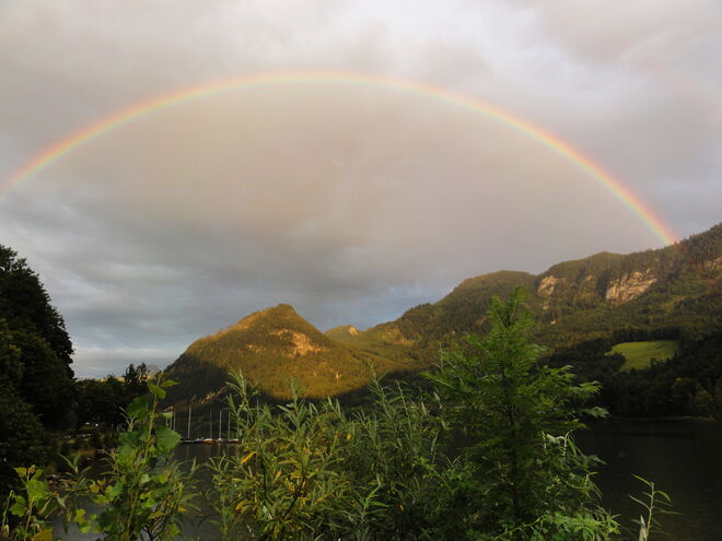 Gestern nach dem Regen