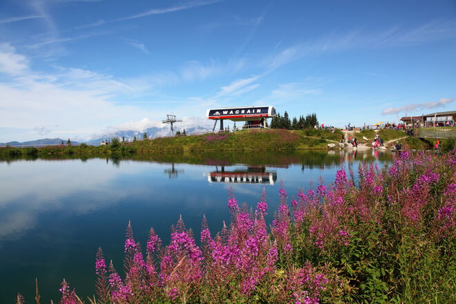 Natur trifft Technik