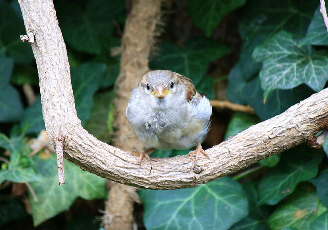 ein trockenes Plätzchen gefunden