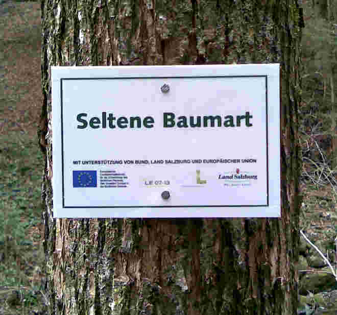 Selten