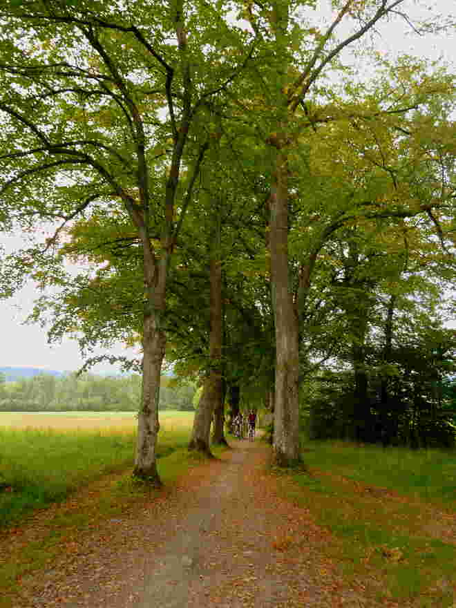 radeln ...