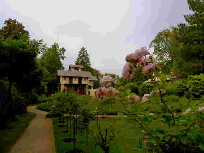 die Roseninsel