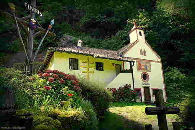 Kühle Waldeinsamkeit