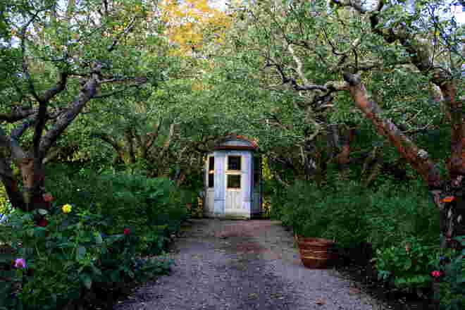 schwedischer Apfelgarten