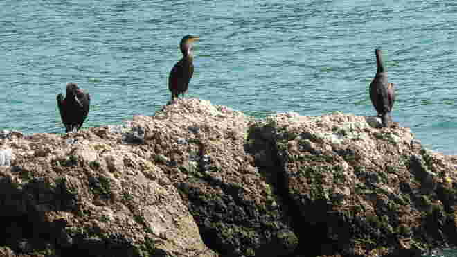 Blick aufs Meer